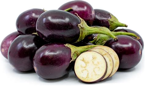Indian Eggplant Information and Facts