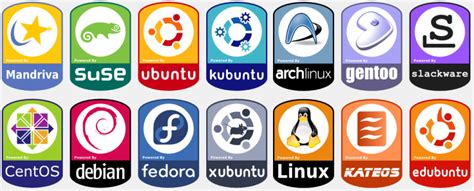 Which are the five best Linux distros – Linux Scripts Hub