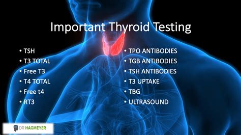 5 Causes of Your High TSH in Woman (Hypothyroidism)- That No One Is Talking About | Dr. Hagmeyer