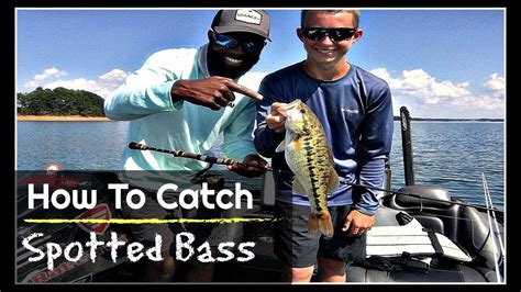 How to catch Spotted Bass (Fall Fishing) - YouTube