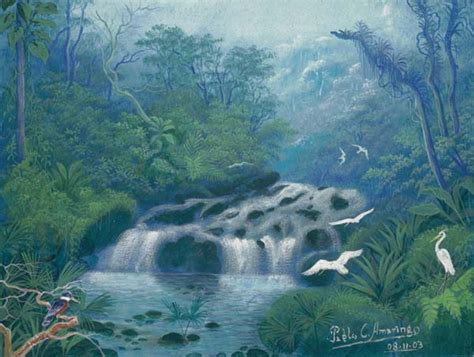 25.Birds-and-Waterfall – Rainforest Medicine Gatherings