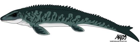 Mosasaurus by rainbowarmas on DeviantArt