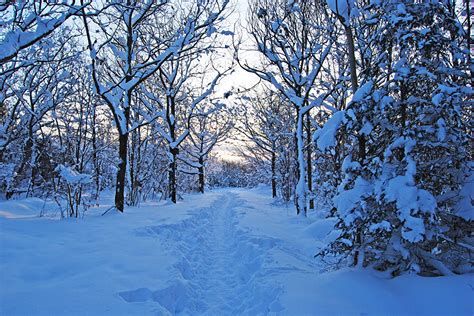 Desktop Hintergrundbilder Natur Winter Schnee Jahreszeiten