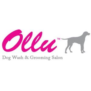 Ollu Dog Wash and Grooming - Chiropractic For Everybody