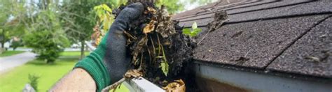 What to Look for in a Gutter Cleaning Service | LeafFilter