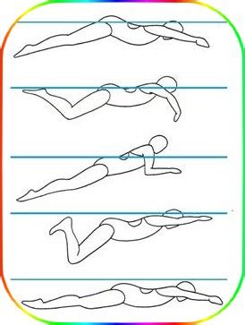 Swimming : -TOP DRILLS FOR BREASTSTROKE