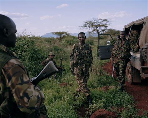 Powerful Photos of Rhinos and Elephants in Danger | Time