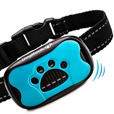 6 Best Vibrating Dog Collars for Training Your Dog Shock-Free!