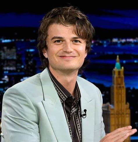 Pin by lily ♥︎ on joe keery! in 2022 | Joe keery, Beautiful joe, Joe kerry