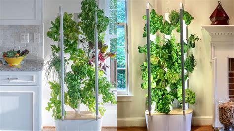 This vertical garden device makes indoor gardening possible | LaptrinhX ...