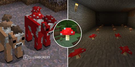 Minecraft: How To Farm Mushrooms