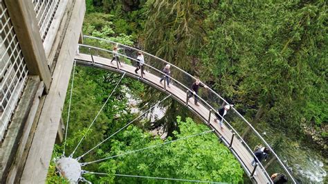 Capilano Suspension Bridge - Explore Vancouver