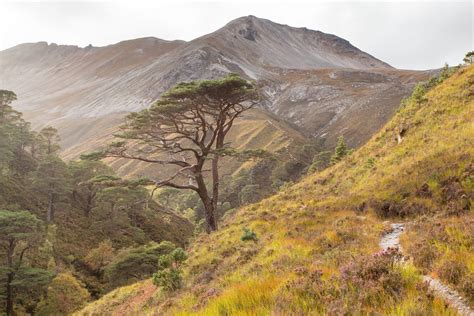 Beinn Eighe: the first the first 70 years of Britain’s original ...