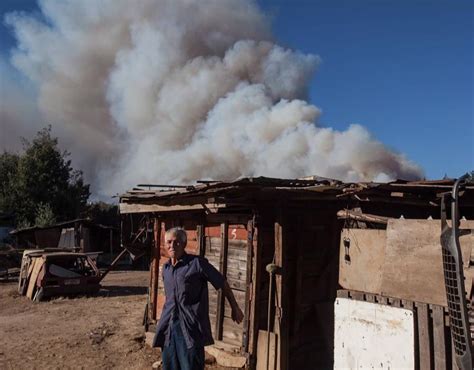 forest fires Chile | Forest fire in Chile | Pictures | Pics | Express.co.uk