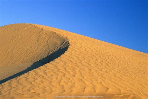 The Athabasca Sand Dunes Provincial Park was created to protect the ...