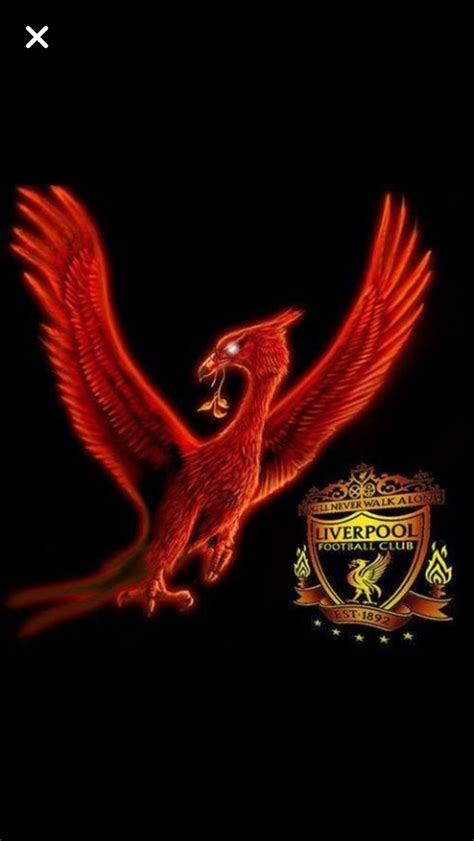 Liverbird Liverpool Bird, Liverpool Fc Shirt, Liverpool Tattoo, Ynwa Liverpool, Liverpool Soccer ...