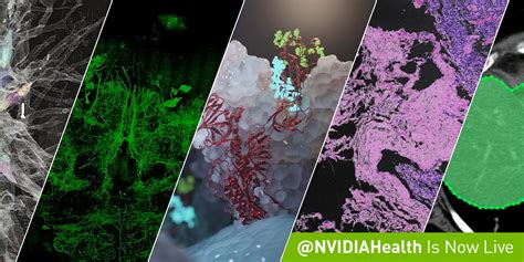 NVIDIA AI on Twitter: "To learn about the latest news and updated on # ...