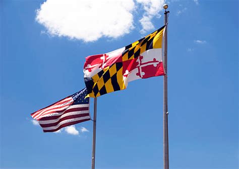 Maryland Flag Pictures, Images and Stock Photos - iStock