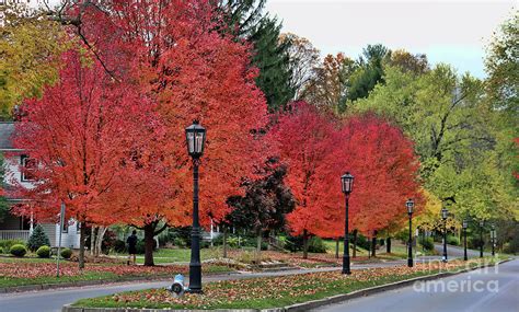 Fall Color Wellsboro PA 2679 Photograph by Jack Schultz