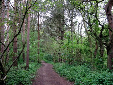 Castle Eden Dene: Habitats Regulations Assessment Support to ...