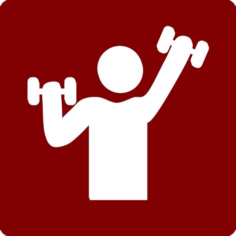 Gym Weight Lifting Training · Free vector graphic on Pixabay