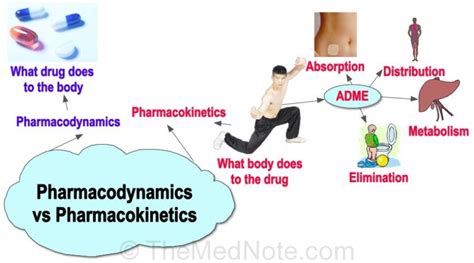 Pharmacodynamics vs Pharmacokinetics