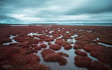 Coles Bay, Tasmania - Australian Geographic