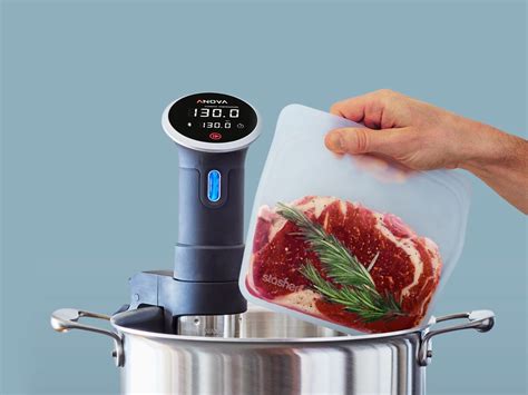 Stasher Silicone Bag Review: Great for Sous Vide Cooking | WIRED