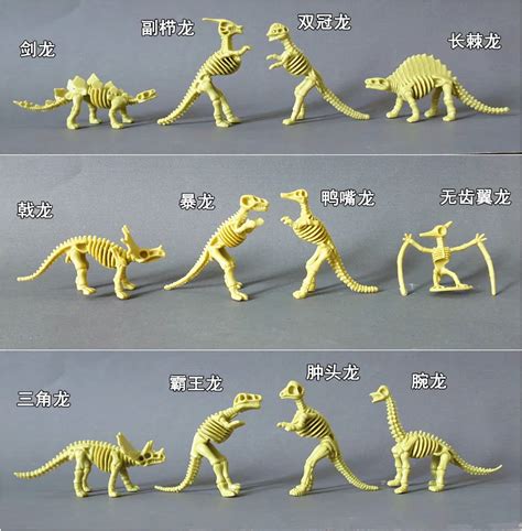 12pcs set Archeology dinosaur fossil animal bones toy model skeleton assembled model S size free ...