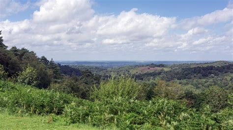 Great Walks in Surrey Hills, UK