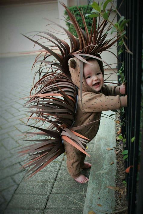 The top 20 Ideas About Animal Costume Diy | Boy halloween costumes, Halloween boys, Toddler ...