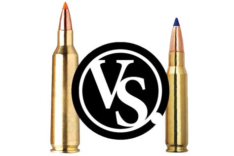 Coyote Cartridge Showdown: 22-250 vs 223 - Petersen's Hunting