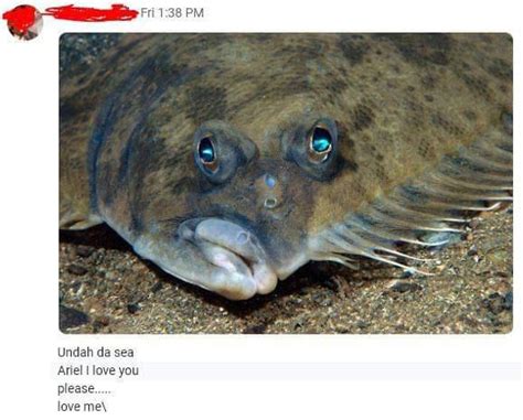 Live-action flounder from Little Mermaid : r/memes