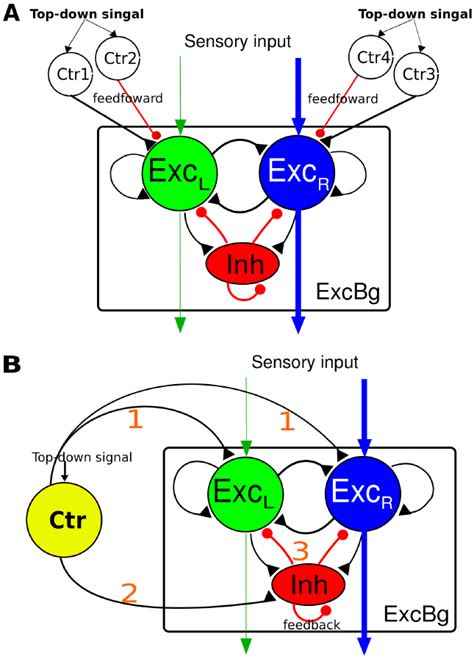 Schematics of a cortical neural circuit model of perceptual decision...