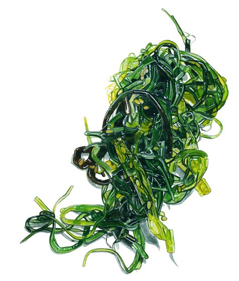 FOOD_WAKAME on Behance