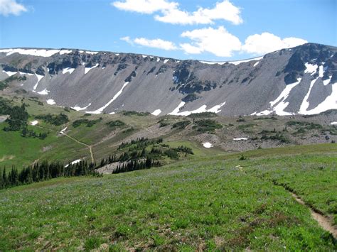 Good Life Northwest: Alpine wildflowers and motherhood in nature-- more hiking photos from Mount ...