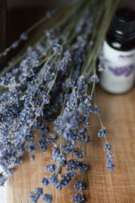 Lavender Essential Oil: A Must-Have For Every Natural Medicine Chest – Herbal Academy