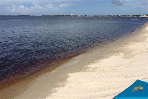 Cape Coral Yacht Club beach tests high for bacteria