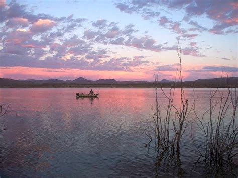 Celebrate AZ Water with us at Alamo Lake State Park