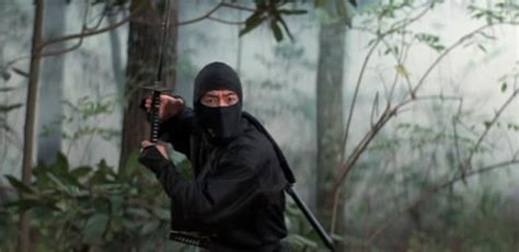 The 20 Best Ninja Movies of All Time – Taste of Cinema – Movie Reviews ...