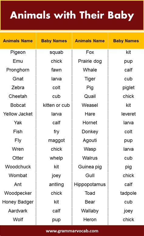 Animals with Their Baby Name - GrammarVocab