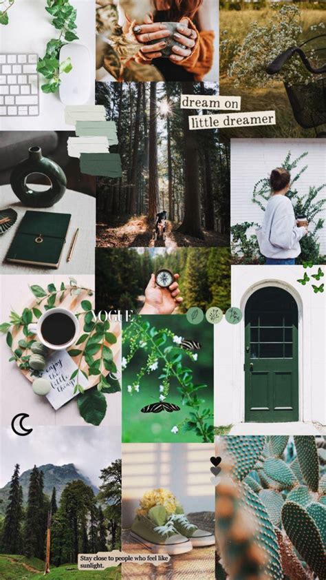 Embrace the Green Aesthetic: Inspiring Nature and Motivation for Your ...