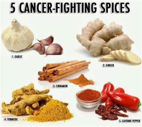 5 Herbs To Fight Cancer | foodandmom