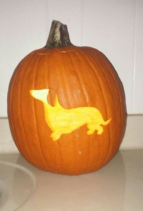 My Dachshund pumpkin | Dog pumpkin, Pumpkin carving, Disney pumpkin carving