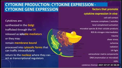 zoom IS lecture CYTOKINES - YouTube