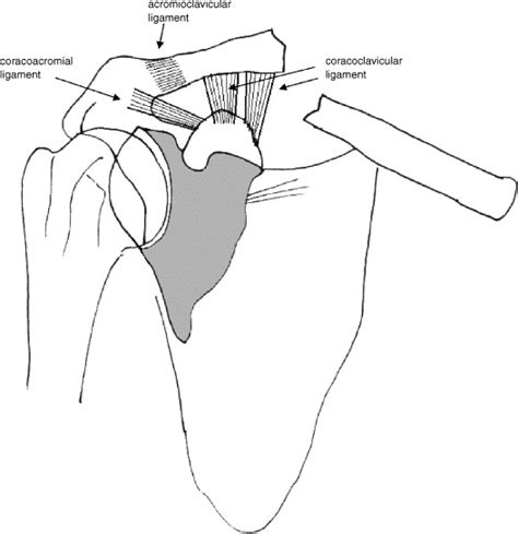 The floating shoulder - Injury