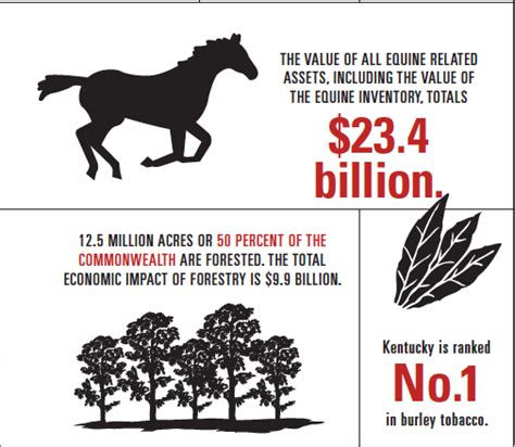 Kentucky Agriculture Overview - Farm Flavor