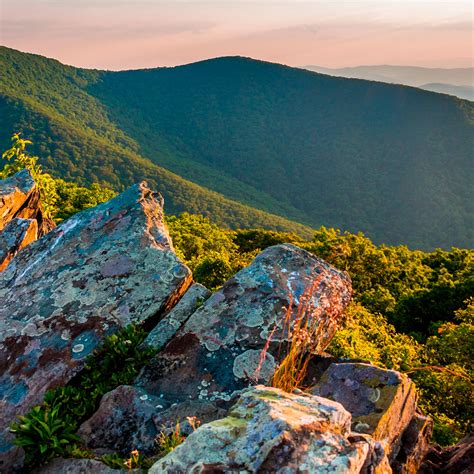 Shenandoah National Park | Wildlife and Wild Lands