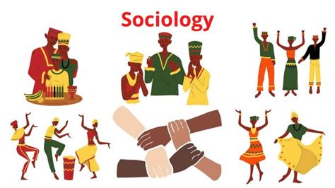 What is Sociology - Definition and Overview - Research Method