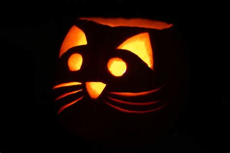 Kitty Jack-o-Lantern | Pumpkin carving, Halloween pumpkins, Cat pumpkin